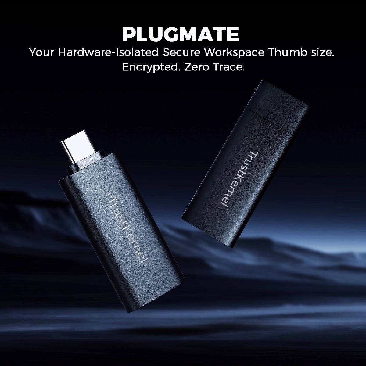 PlugMate: Your Thumb-Sized Secure Computer